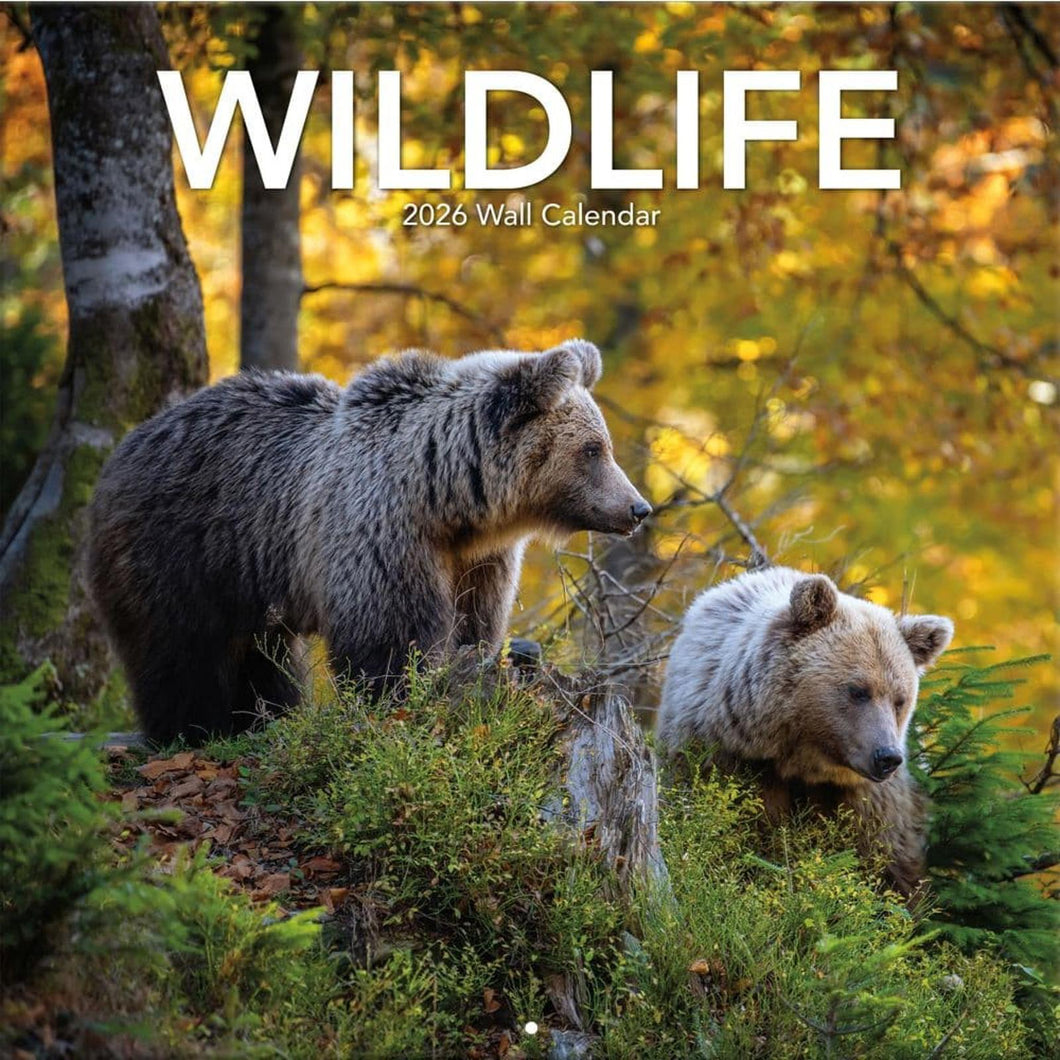 Turner Wildlife 12x12 Photo 2026 Wall Calendar