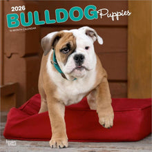 Load image into Gallery viewer, Browntrout Bulldog Puppies 2026 12 x 12 Wall Calendar
