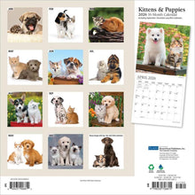 Load image into Gallery viewer, Browntrout Kittens &amp; Puppies 2026 12 x 12 Wall Calendar
