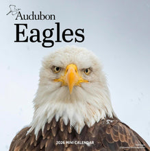 Load image into Gallery viewer, Workman Audubon Eagles 2026 Mini Calendar
