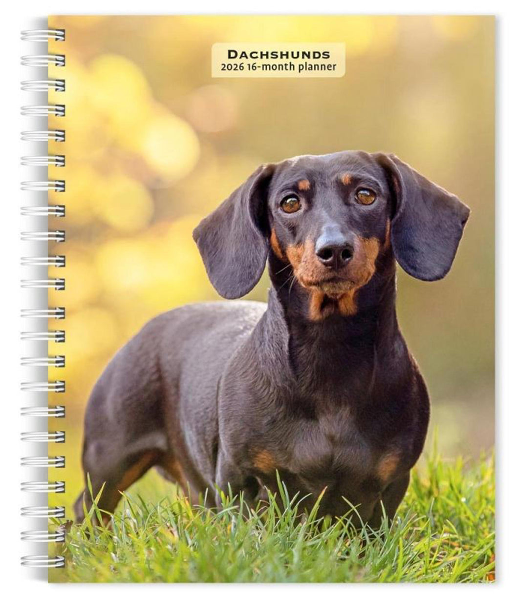 Browntrout Dachshunds 2026 6 x 7.75 Weekly Engagement Planner
