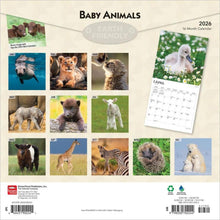 Load image into Gallery viewer, Browntrout Baby Animals 2026 12 x 12 Wall Calendar
