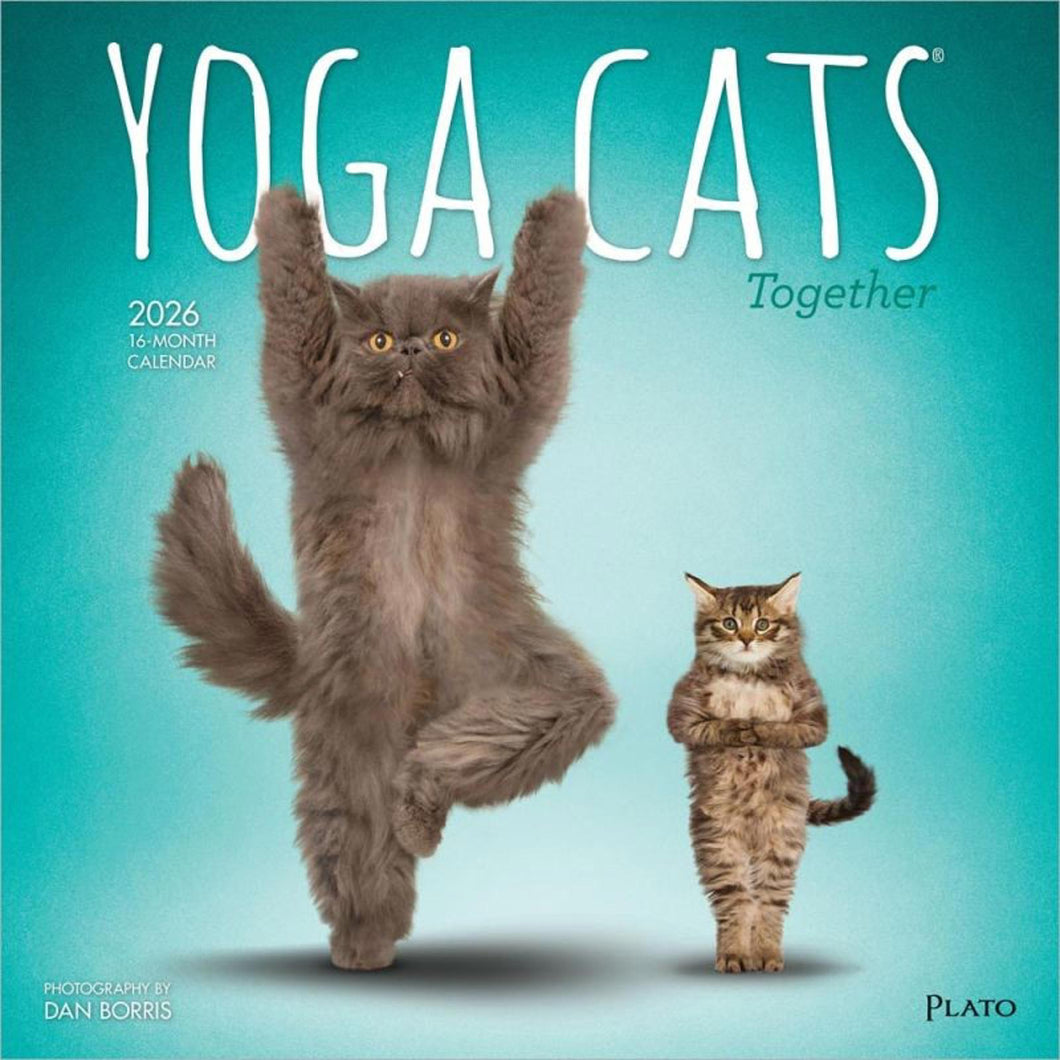 Browntrout Yoga Cats Together OFFICIAL 2026 12 x 12 Wall Calendar