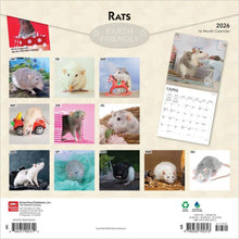 Load image into Gallery viewer, Browntrout Rats 2026 12 x 12 Wall Calendar
