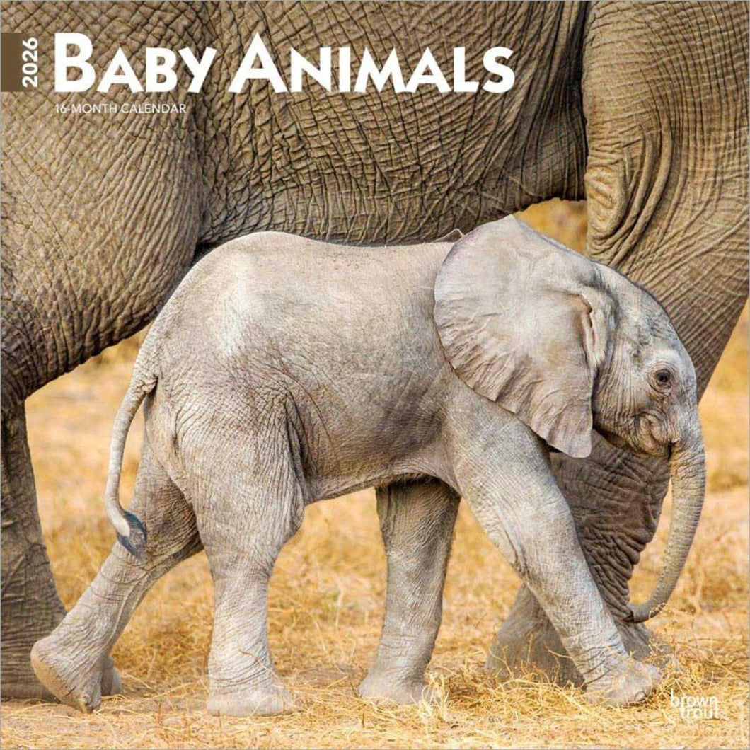 Browntrout Baby Animals 2026 12 x 12 Wall Calendar