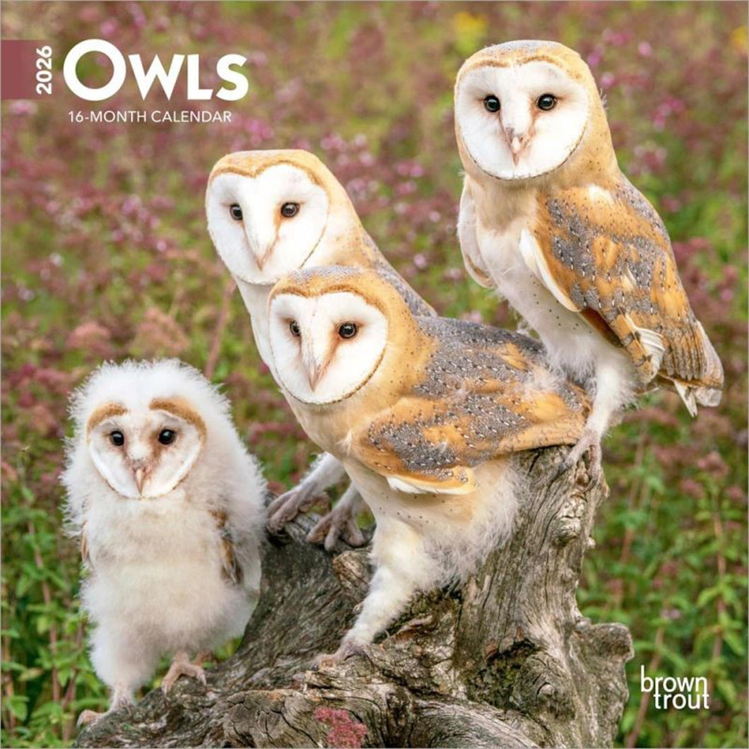 Browntrout Owls 2026 7 x 7 Mini Calendar