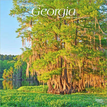 Load image into Gallery viewer, Browntrout Georgia Wild &amp; Scenic 2026 12 x 12 Wall Calendar
