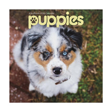 Load image into Gallery viewer, Trends International Puppies 2026 7 x 7 Mini Calendar
