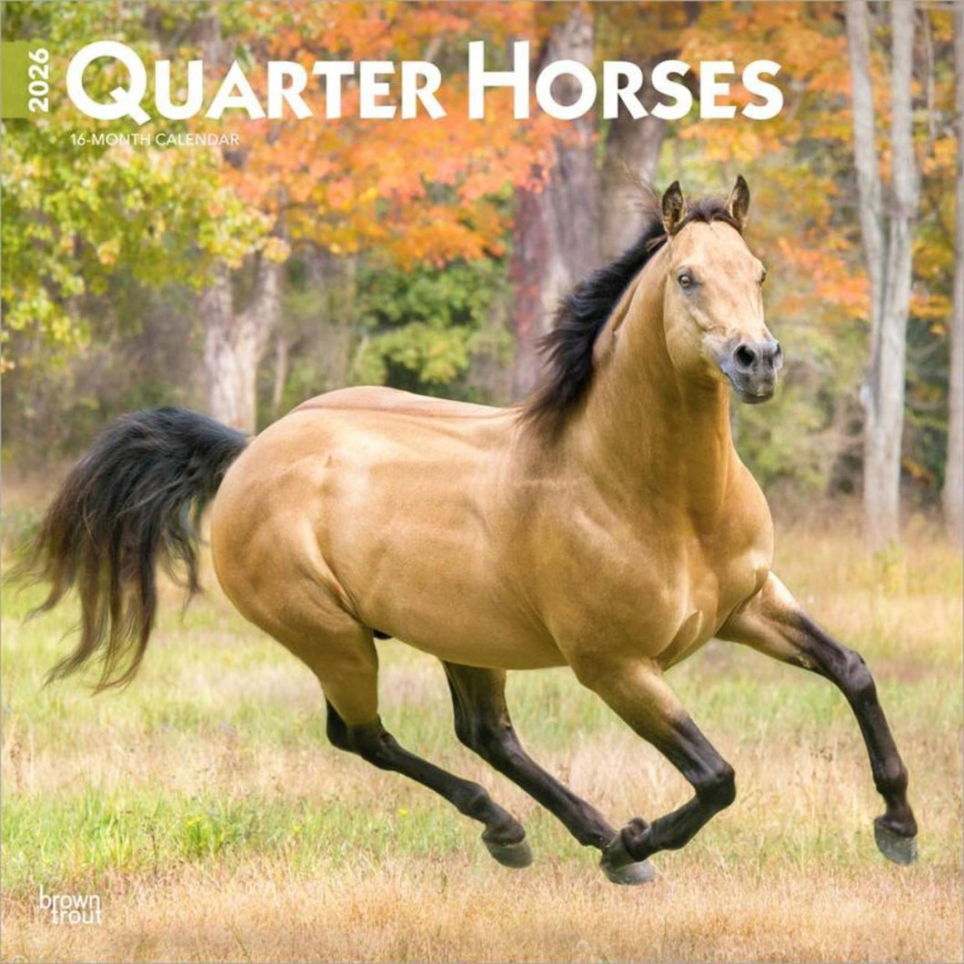 Browntrout Quarter Horses 2026 12 x 12 Wall Calendar