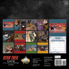 Load image into Gallery viewer, Universe Star Trek: Cats 12x12 2026 Wall Calendar
