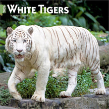 Load image into Gallery viewer, Browntrout White Tigers 2026 12 x 12 Wall Calendar
