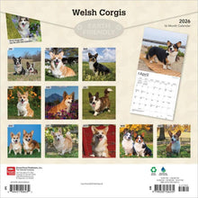 Load image into Gallery viewer, Browntrout Welsh Corgis 2026 12 x 12 Wall Calendar
