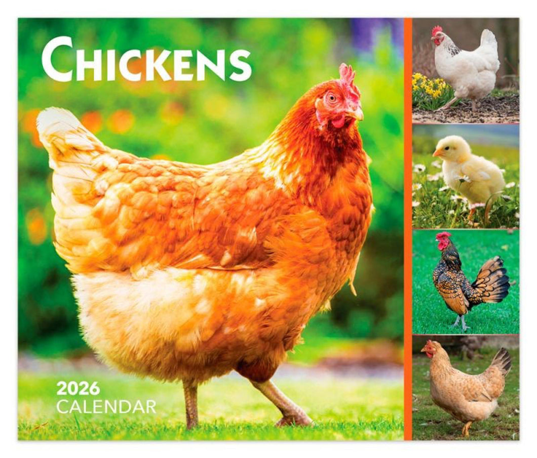Browntrout Chickens 2026 Daily Desktop Box Calendar