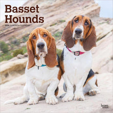 Load image into Gallery viewer, Browntrout Basset Hounds 2026 12 x 12 Wall Calendar
