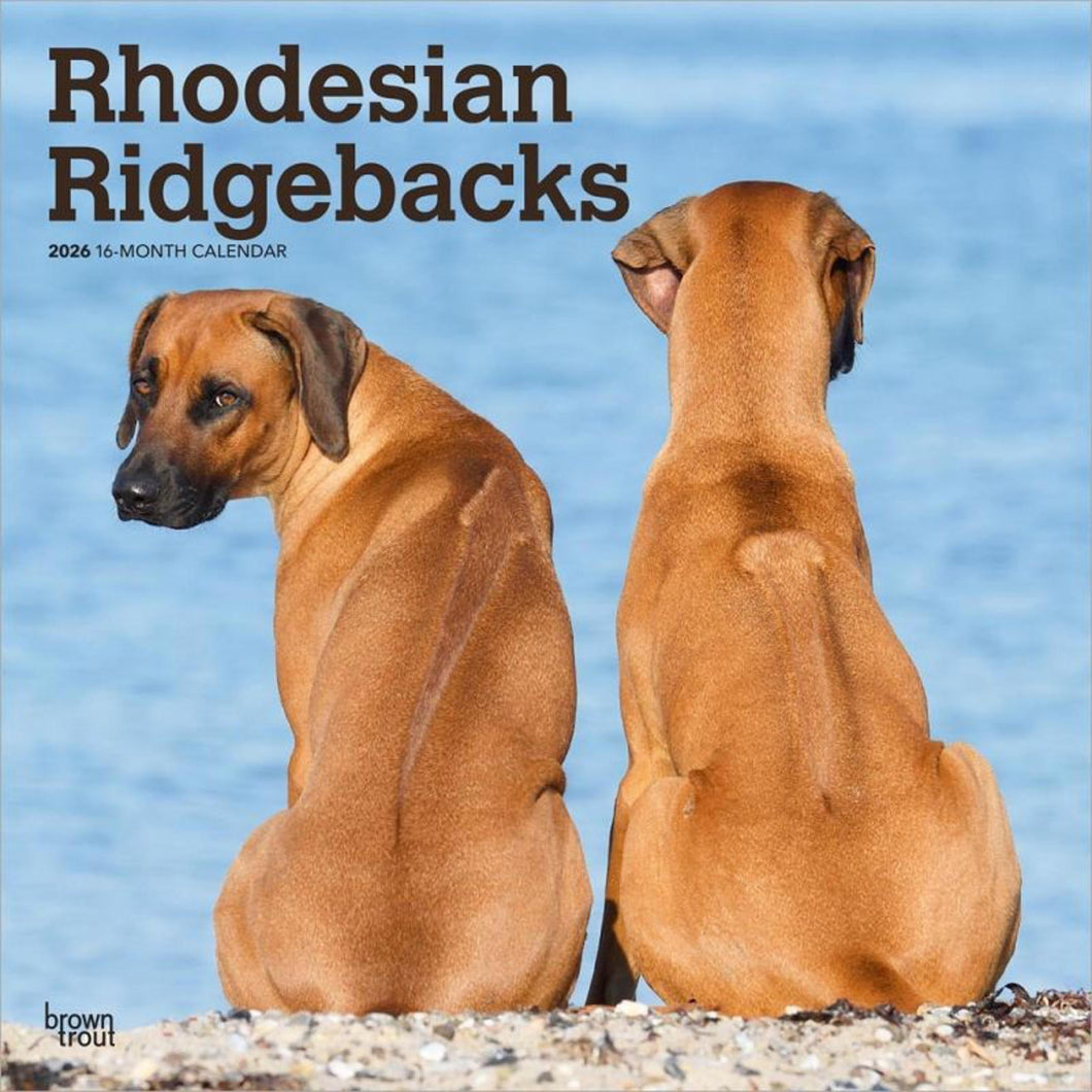 Browntrout Rhodesian Ridgebacks 2026 12 x 12 Wall Calendar