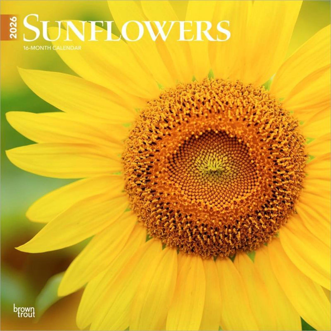 Browntrout Sunflowers 2026 12 x 12 Wall Calendar