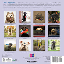 Load image into Gallery viewer, Sellers Publishing Dogma 2026 7 x 7 Mini Calendar
