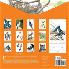 Load image into Gallery viewer, Universe Sibley&#39;s Birds of North America 12x12 2026 Wall Calendar
