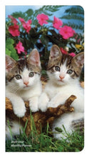 Load image into Gallery viewer, Browntrout Kitten Cuddles 2026-2027 Two Year Monthly Pocket Planner
