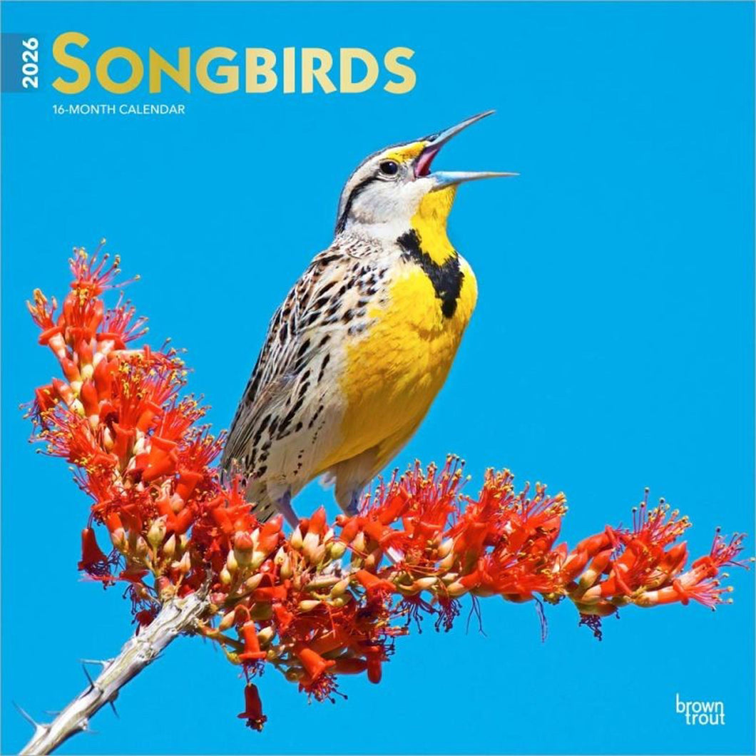 Browntrout Songbirds 2026 12 x 12 Wall Calendar