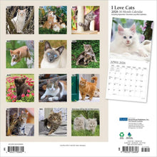 Load image into Gallery viewer, Browntrout I Love Cats 2026 12 x 12 Wall Calendar
