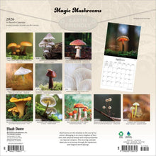 Load image into Gallery viewer, Browntrout Magic Mushrooms 2026 12 x 12 Wall Calendar
