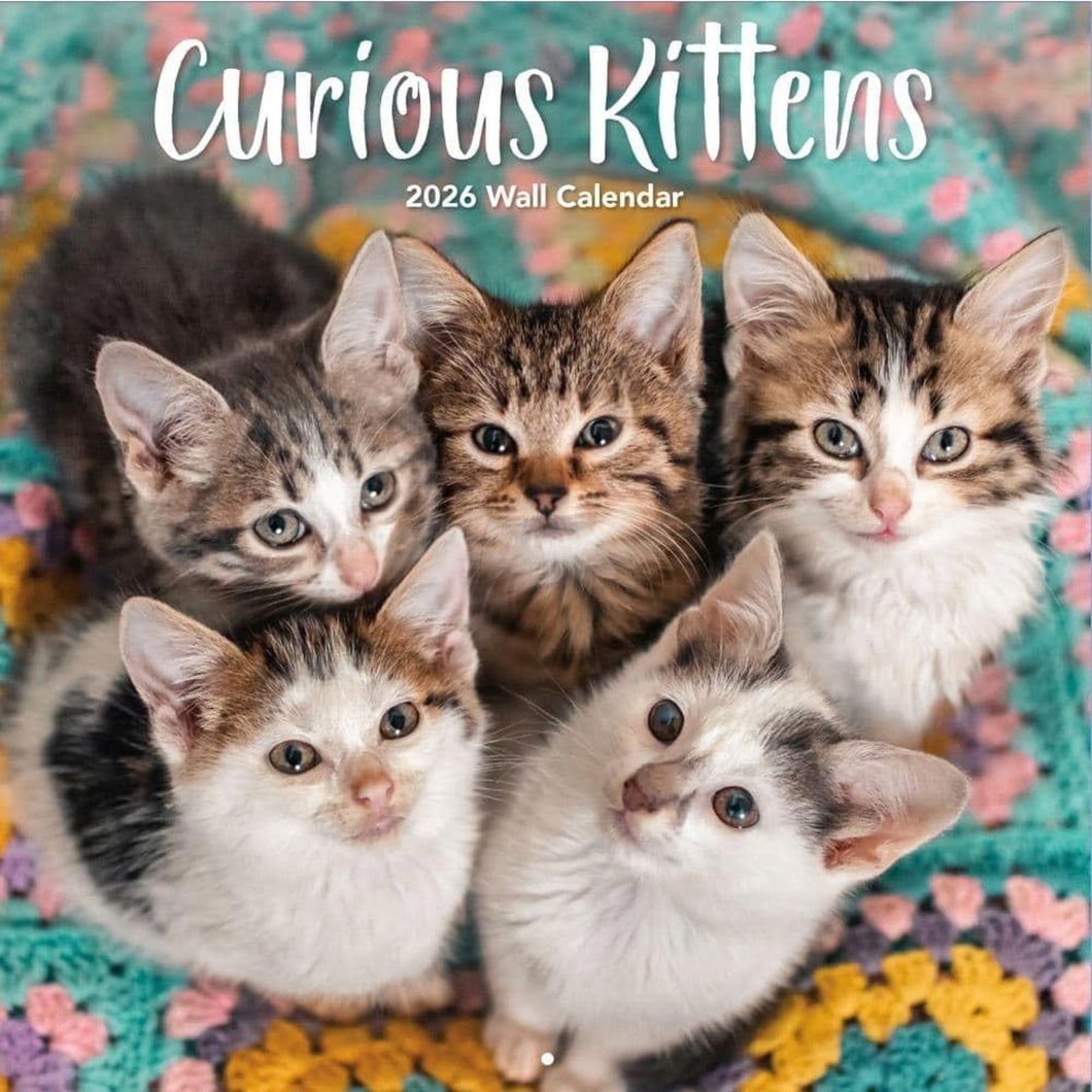 Turner Curious Kittens 12x12 Photo 2026 Wall Calendar