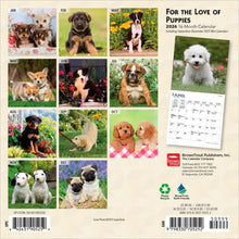 Load image into Gallery viewer, Browntrout For the Love of Puppies 2026 7 x 7 Mini Calendar
