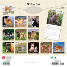 Load image into Gallery viewer, Browntrout Shiba Inu 2026 12 x 12 Wall Calendar
