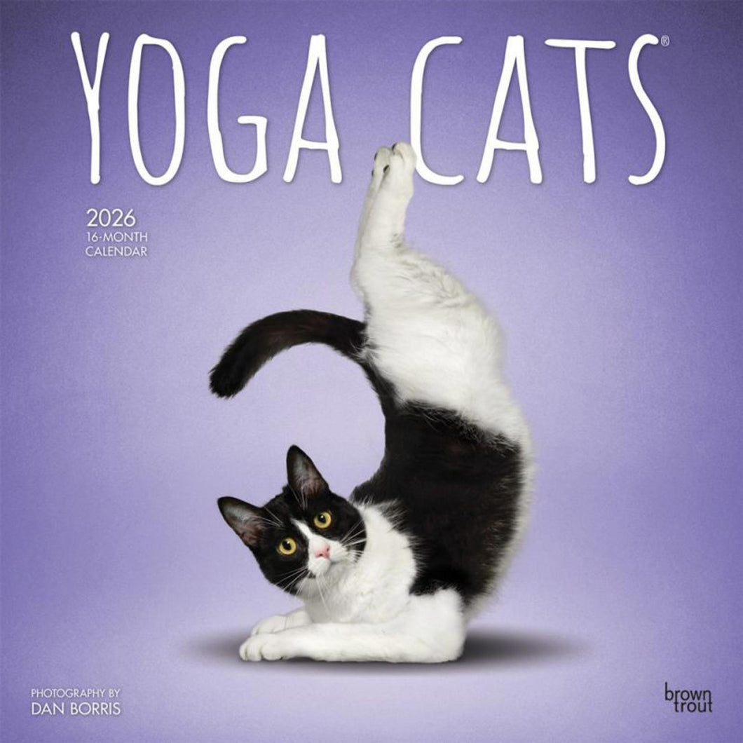 Browntrout Yoga Cats OFFICIAL 2026 12 x 12 Wall Calendar