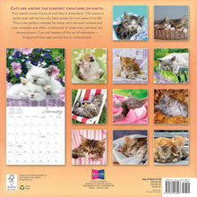 Load image into Gallery viewer, Sellers Publishing Cat Naps 2026 12 x 12 Wall Calendar
