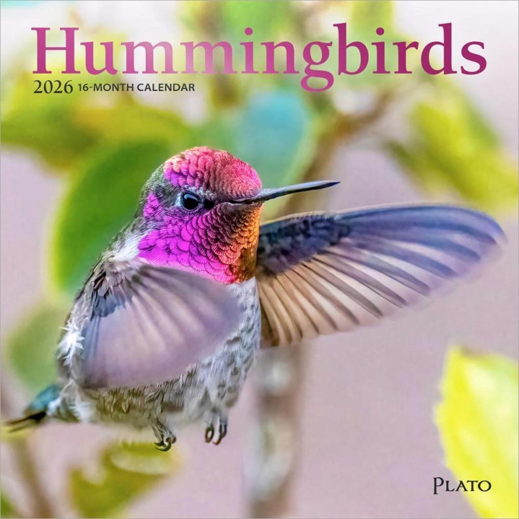 Browntrout Hummingbirds 2026 7 x 7 Mini Calendar