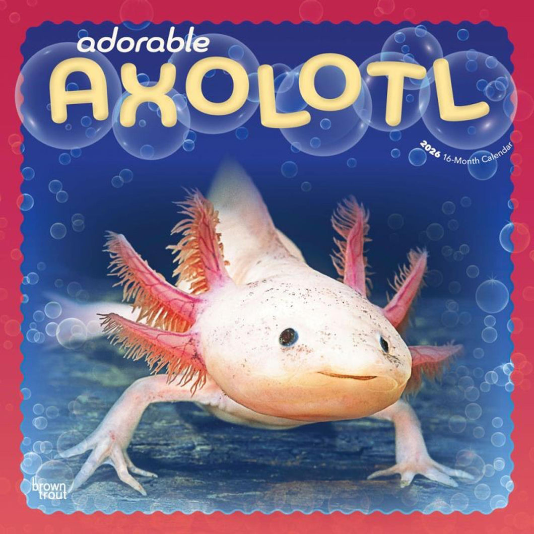Browntrout Adorable Axolotl 2026 12 x 12 Wall Calendar