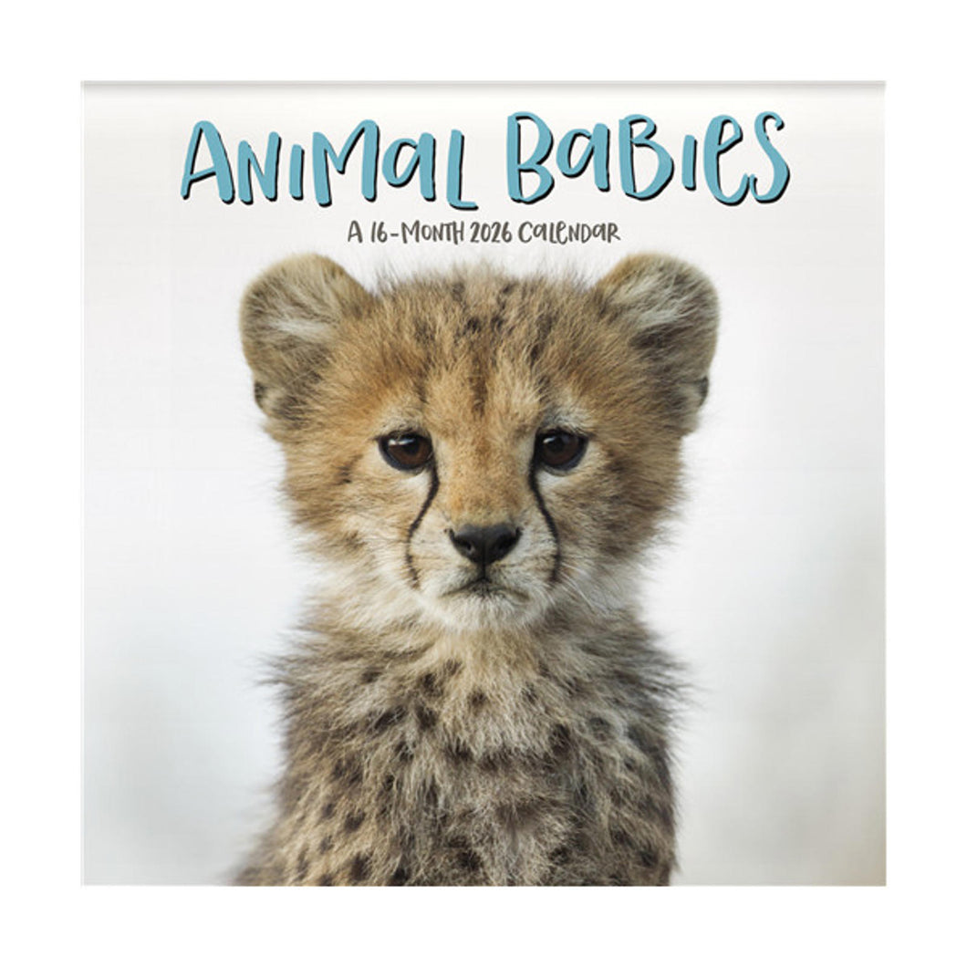 Trends International Animal Babies 2026 12 x 12 Wall Calendar