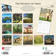 Load image into Gallery viewer, Browntrout The Majesty of Trees 2026 12 x 12 Wall Calendar
