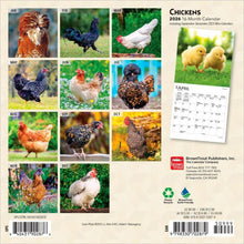 Load image into Gallery viewer, Browntrout Chickens 2026 7 x 7 Mini Calendar
