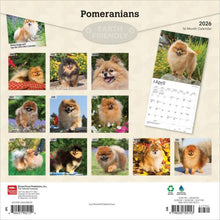 Load image into Gallery viewer, Browntrout Pomeranians 2026 12 x 12 Wall Calendar
