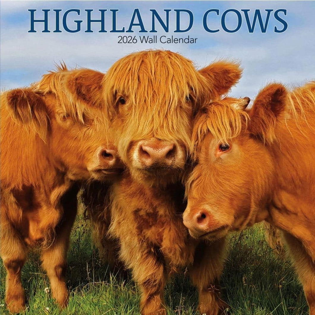 Turner Highland Cows 12x12 Photo 2026 Wall Calendar