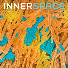 Load image into Gallery viewer, Browntrout Innerspace 2026 12 x 12 Wall Calendar
