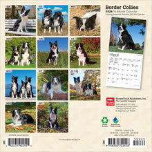 Load image into Gallery viewer, Browntrout Border Collies 2026 7 x 7 Mini Calendar

