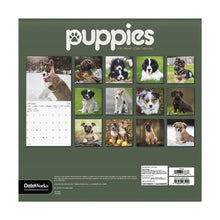 Load image into Gallery viewer, Trends International Puppies 2026 12 x 12 Wall Calendar
