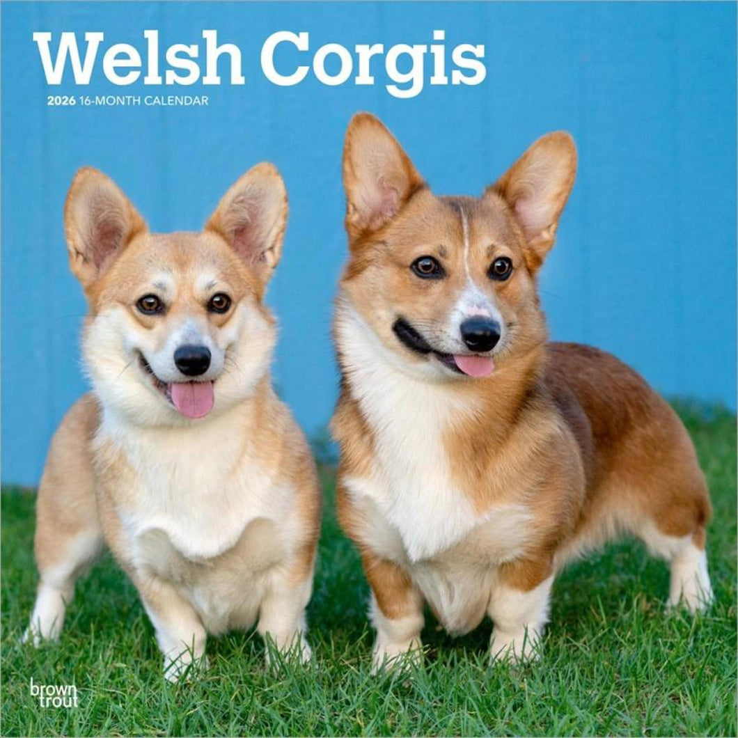 Browntrout Welsh Corgis 2026 12 x 12 Wall Calendar