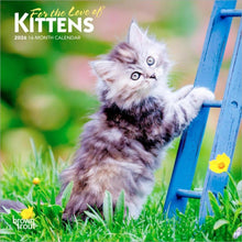 Load image into Gallery viewer, Browntrout For the Love of Kittens 2026 7 x 7 Mini Calendar
