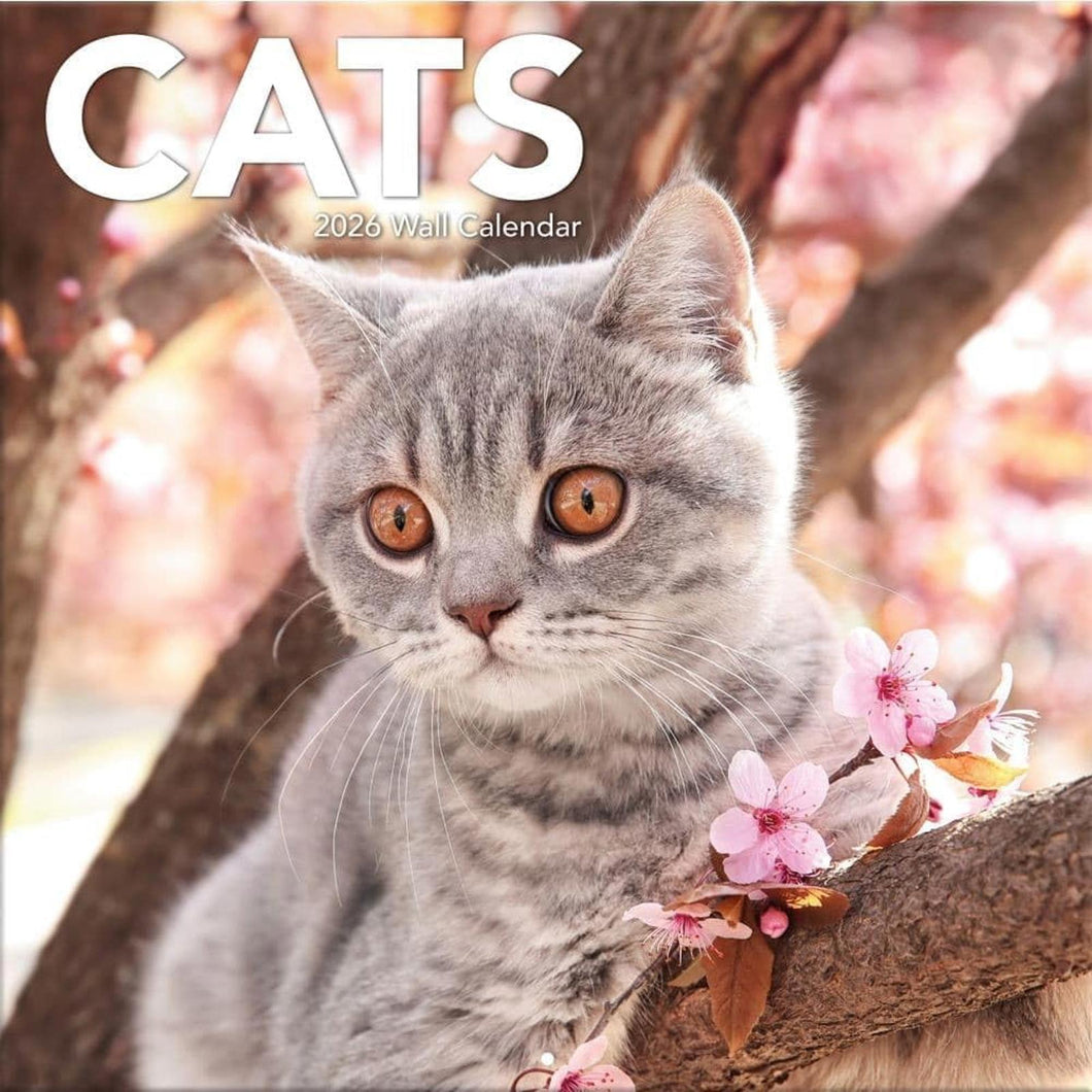 Turner Cats 12x12 Photo 2026 Wall Calendar