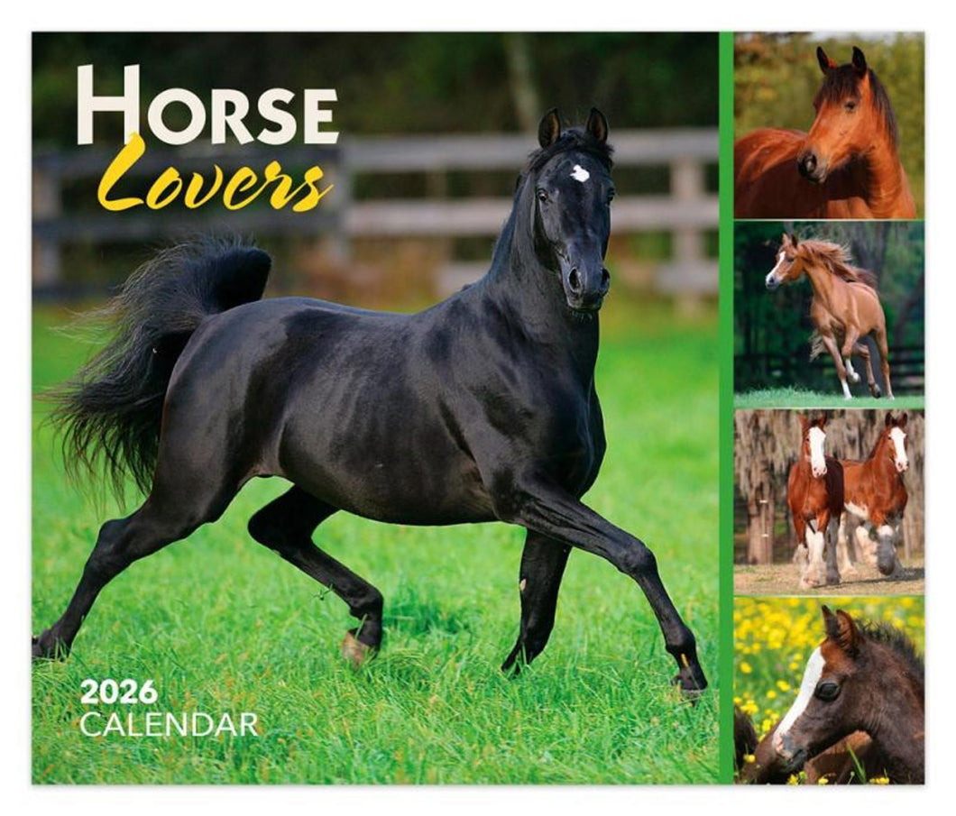 Browntrout Horse Lovers 2026 Daily Desktop Box Calendar