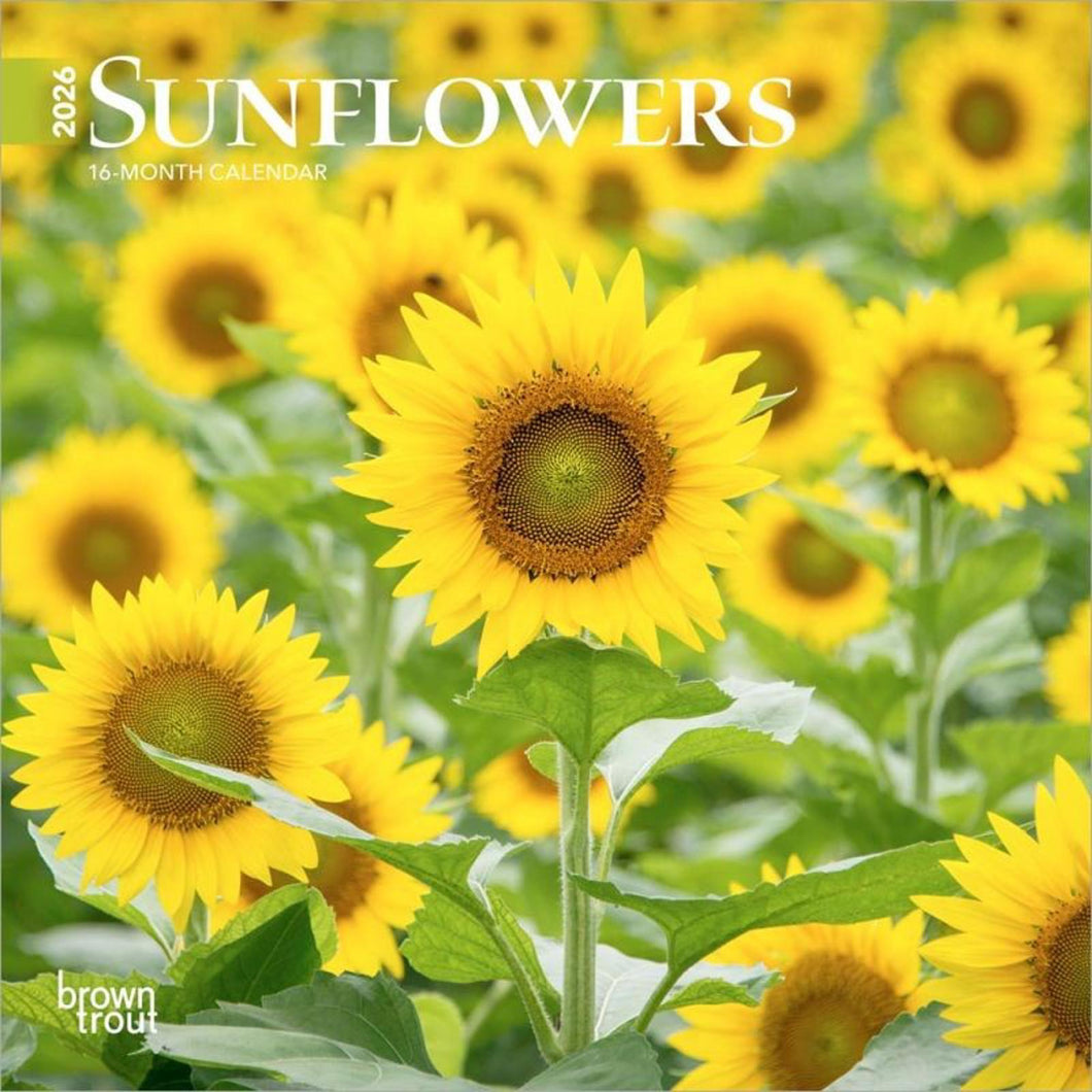 Browntrout Sunflowers 2026 7 x 7 Mini Calendar