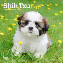 Load image into Gallery viewer, Browntrout Shih Tzu Puppies 2026 7 x 7 Mini Calendar
