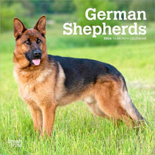 Load image into Gallery viewer, Browntrout German Shepherds 2026 7 x 7 Mini Calendar
