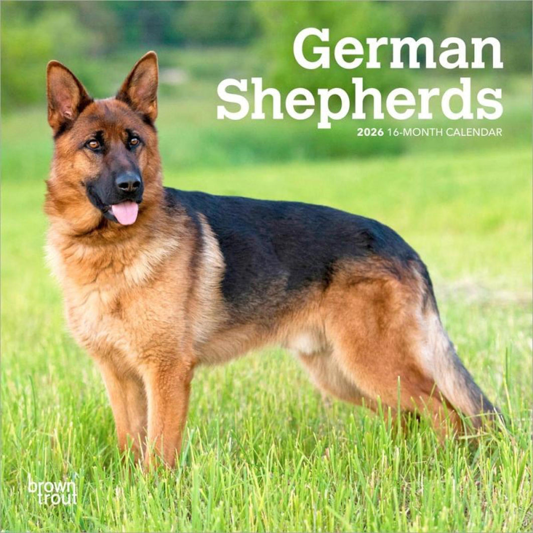 Browntrout German Shepherds 2026 7 x 7 Mini Calendar