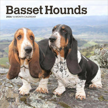 Load image into Gallery viewer, Browntrout Basset Hounds 2026 7 x 7 Mini Calendar
